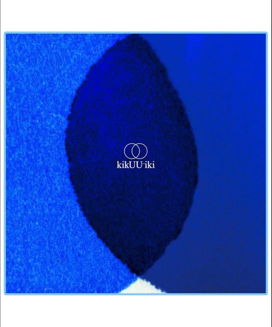 新品 サカナクション アナログレコード kikuuiki 山口一郎 重量盤 LP