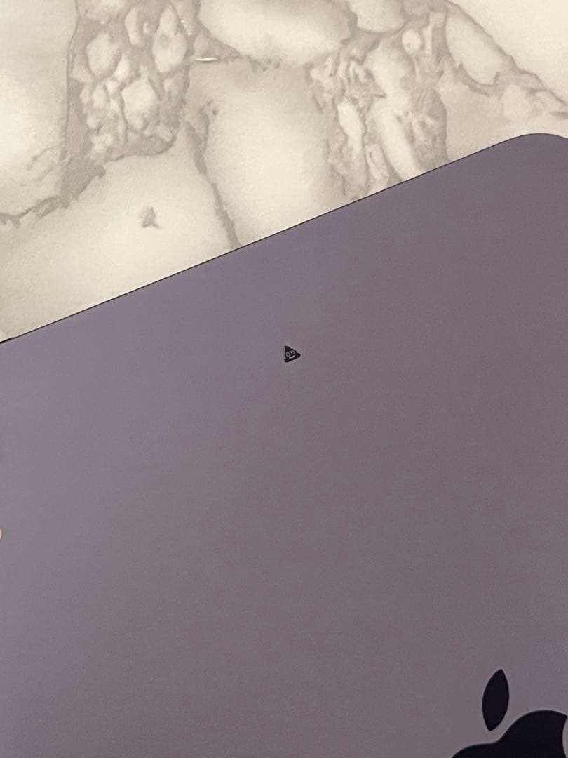 Apple iPad mini第6世代 パープル うんち印字付き