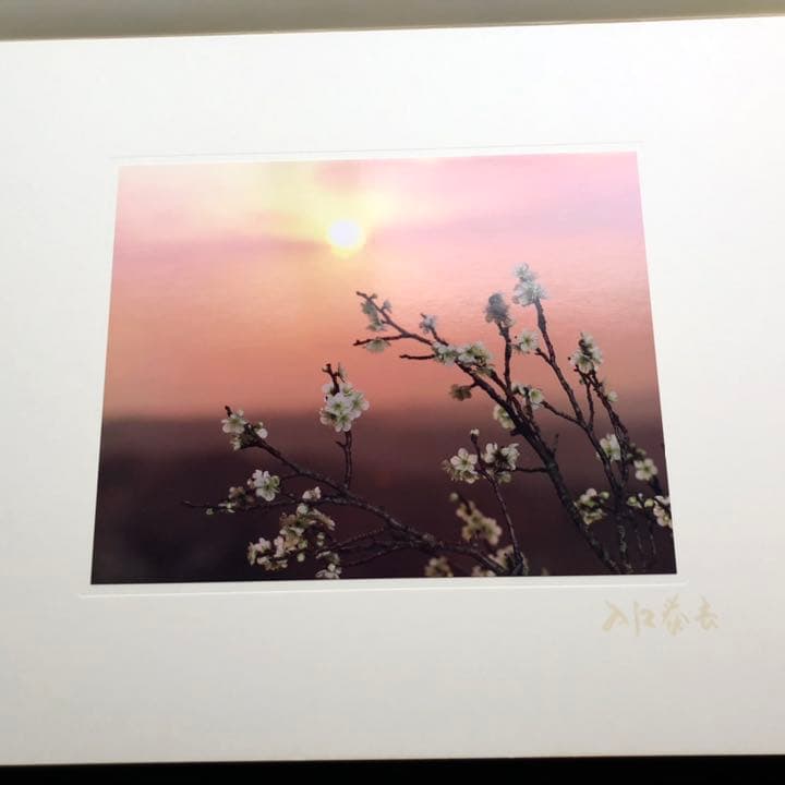 入江泰吉 オリジナルプリント12枚セット「四季大和路」特製額付