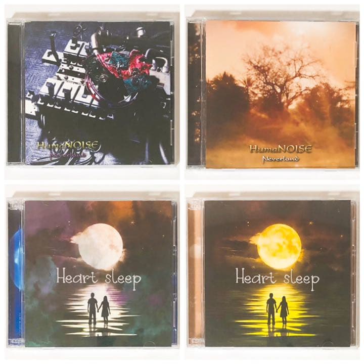 V系★NEVERLAND★CD＋DVD★21点セット