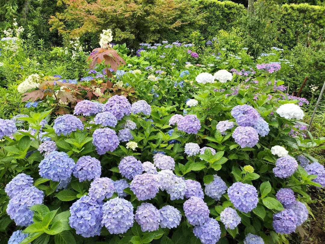 九谷焼　6角香炉