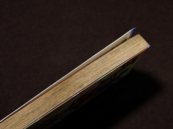 武天のカイト　3巻（最終巻）　初版　蜂文太　鈴木俊介