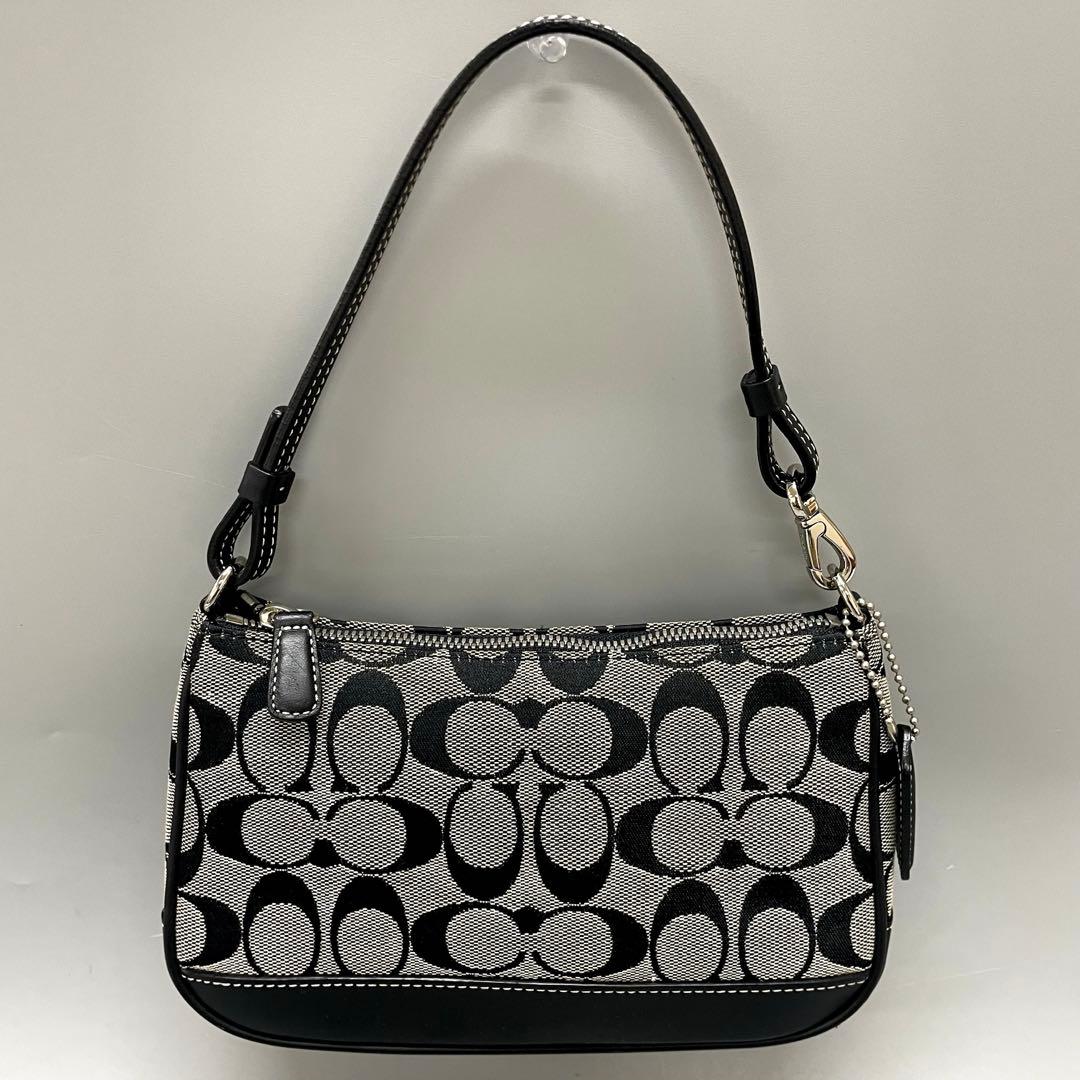 コーチ COACH 6094 美品 シグネチャー アクセサリーポーチ 黒