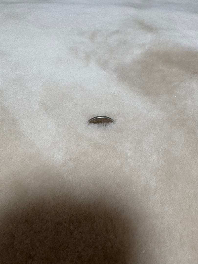 【⚠️即購入NG・プロフ必読】ムートンシーツ（ベージュ）お買い得！