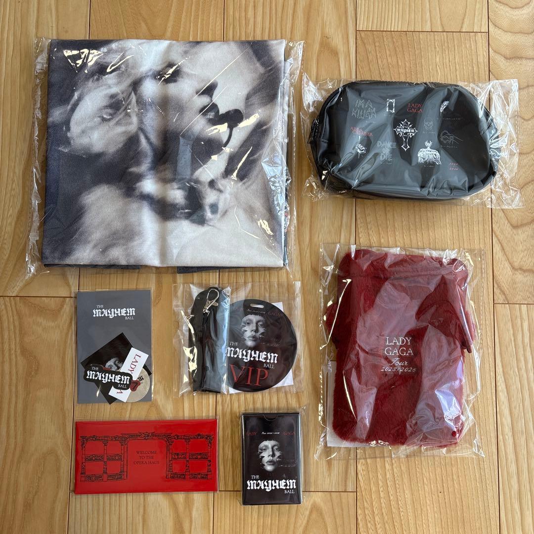 東京ドーム2026/1/29レディガガ　ライヴコンサートグッズ