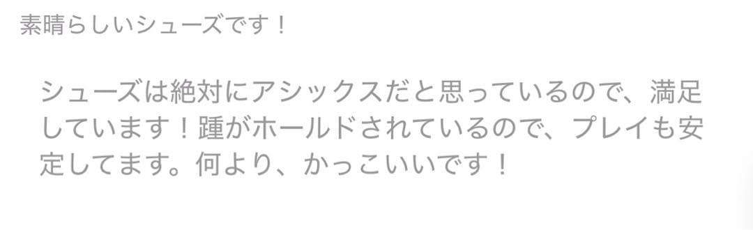 アシックス新品箱入り⭐️COURT FF 3 OCオムニ・クレーテニスシューズ競技