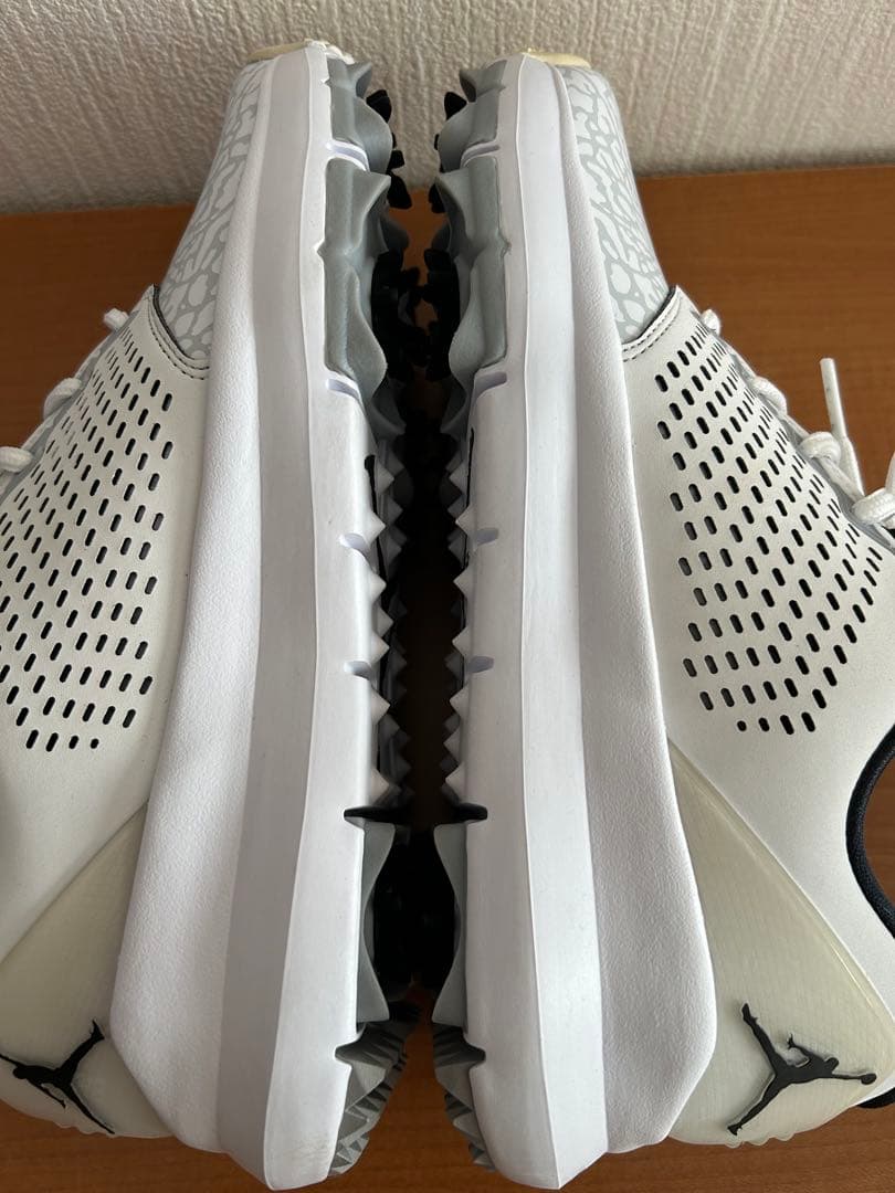 NIKE＊AIRJORDANTRAINER.G/AH7747-100/26㎝