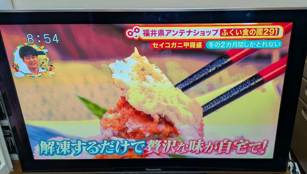 Panasonic TH-P50V1 50インチ テレビ