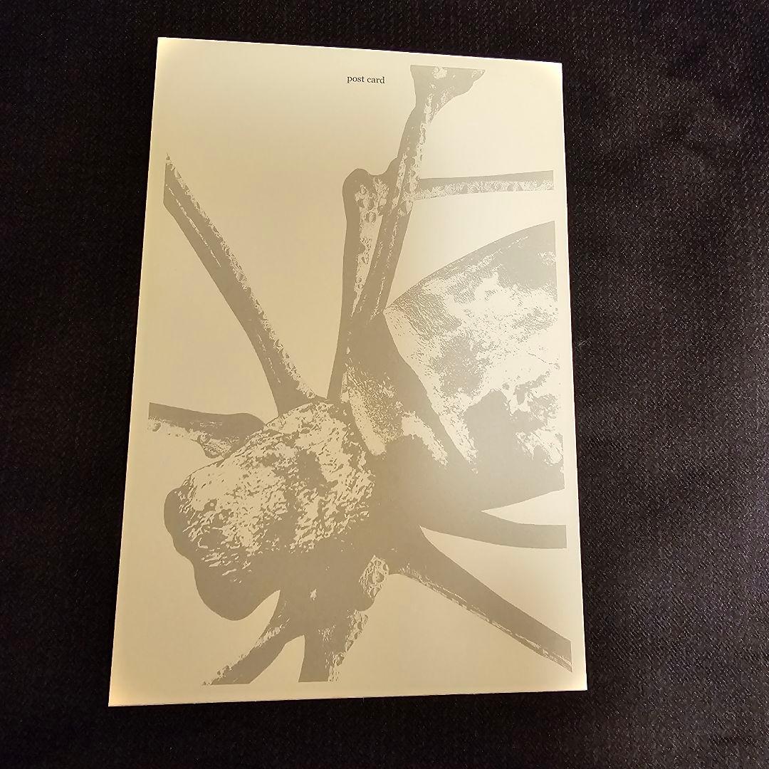 【貴重】the studs CD&特典セット