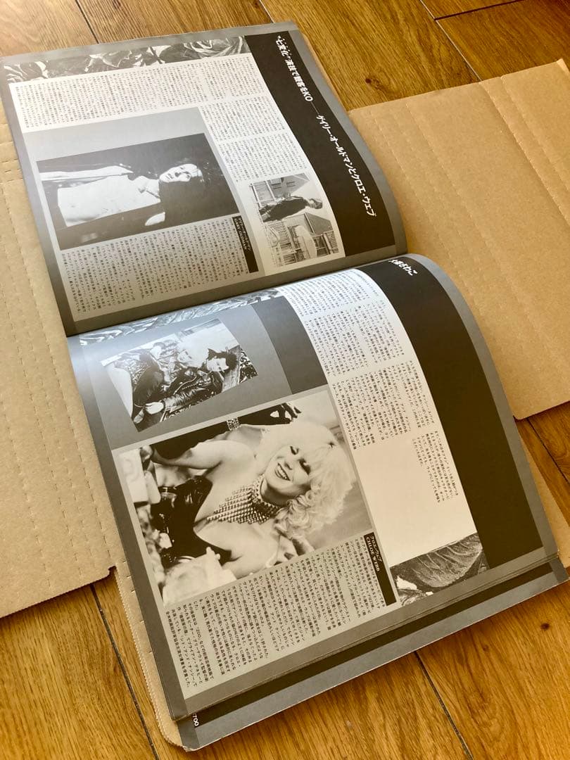 SID AND NANCY 映画パンフレット/ おまけPISTOLS レコード