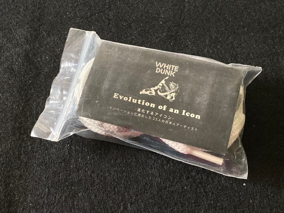 NIKE WHITE DUNK作品集　バッグ・シューレース付　キューブリック付き