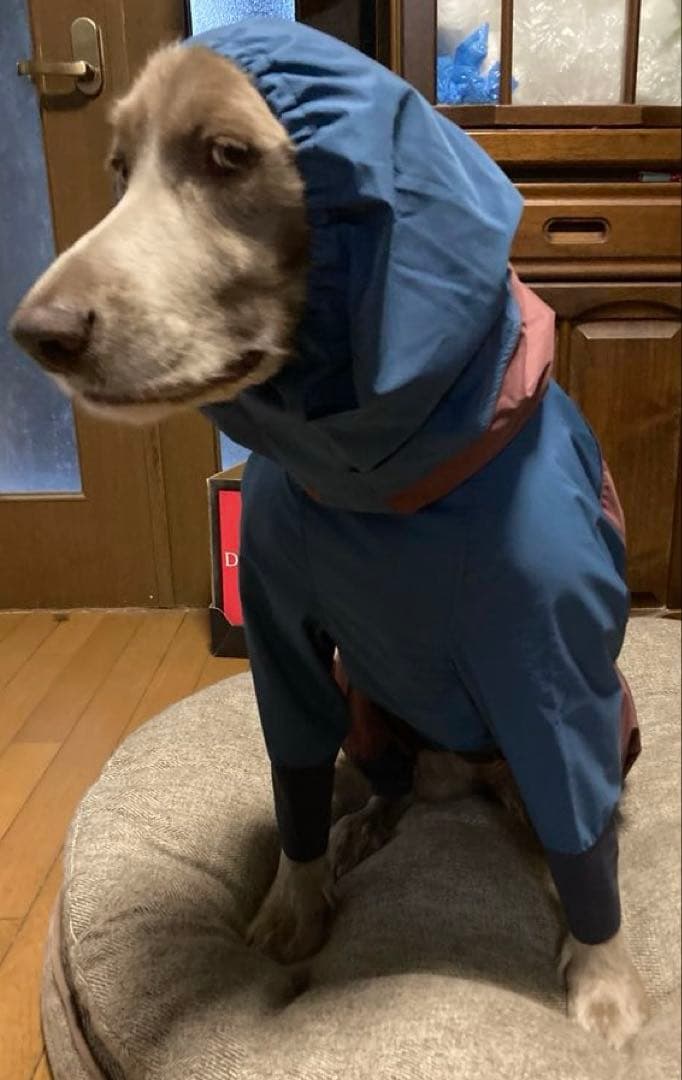 lihn0629。ALPHACON レインドックガードXL青・茶色