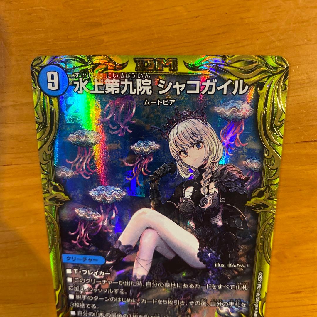 シャコガイル　b