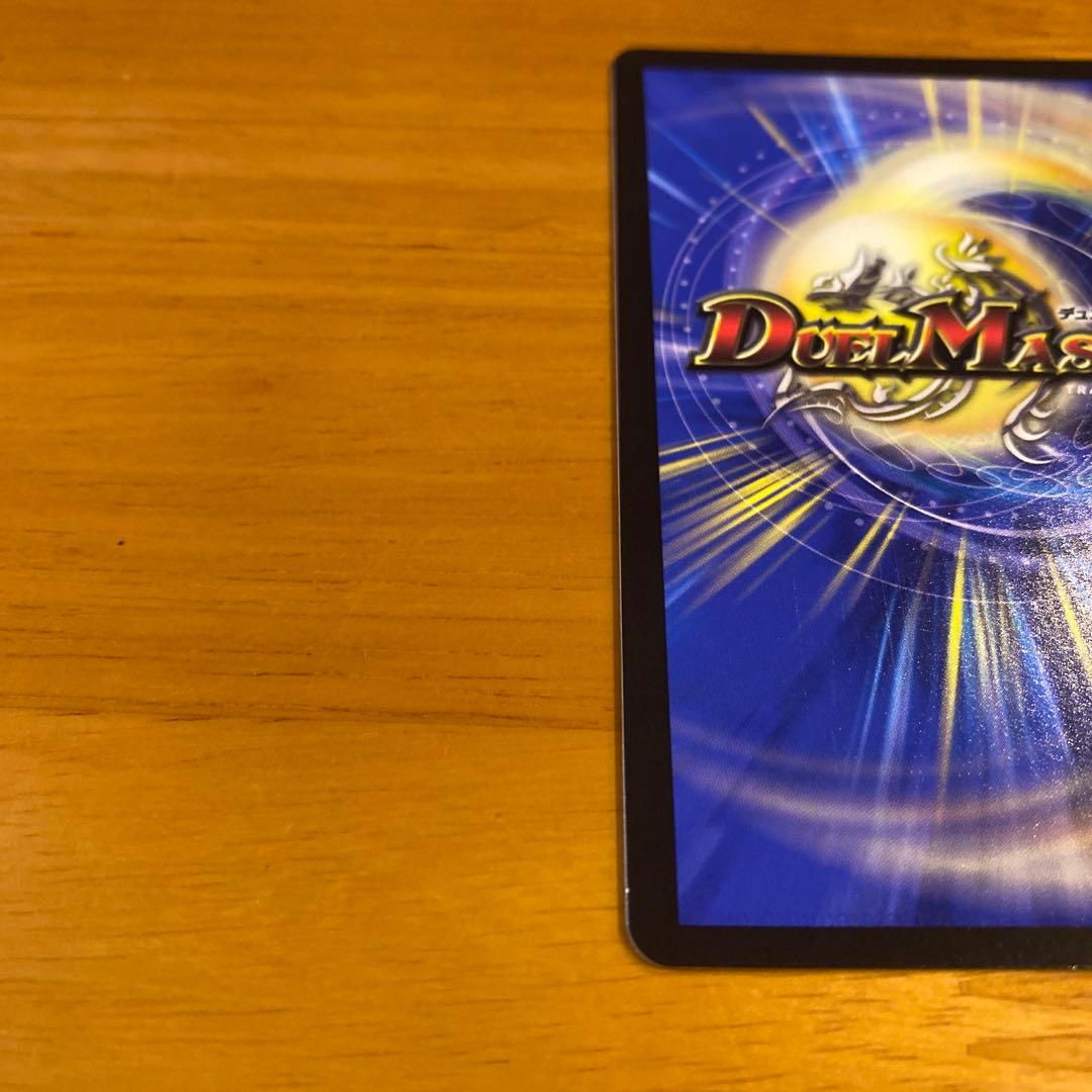 シャコガイル　b