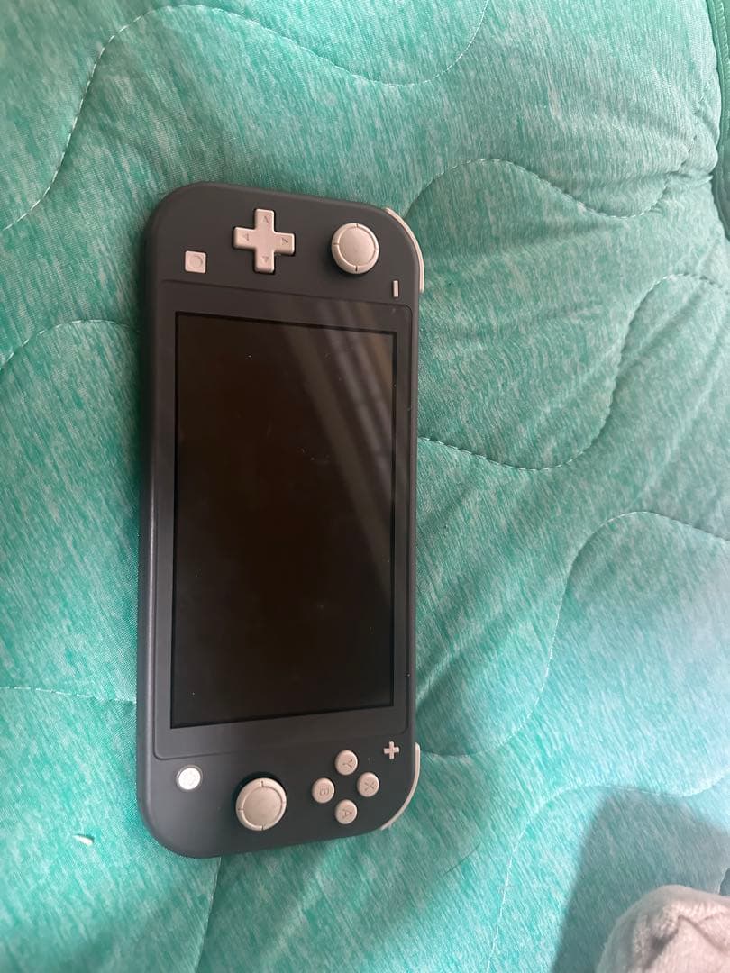 Nintendo Switch Lite + キャリングケース