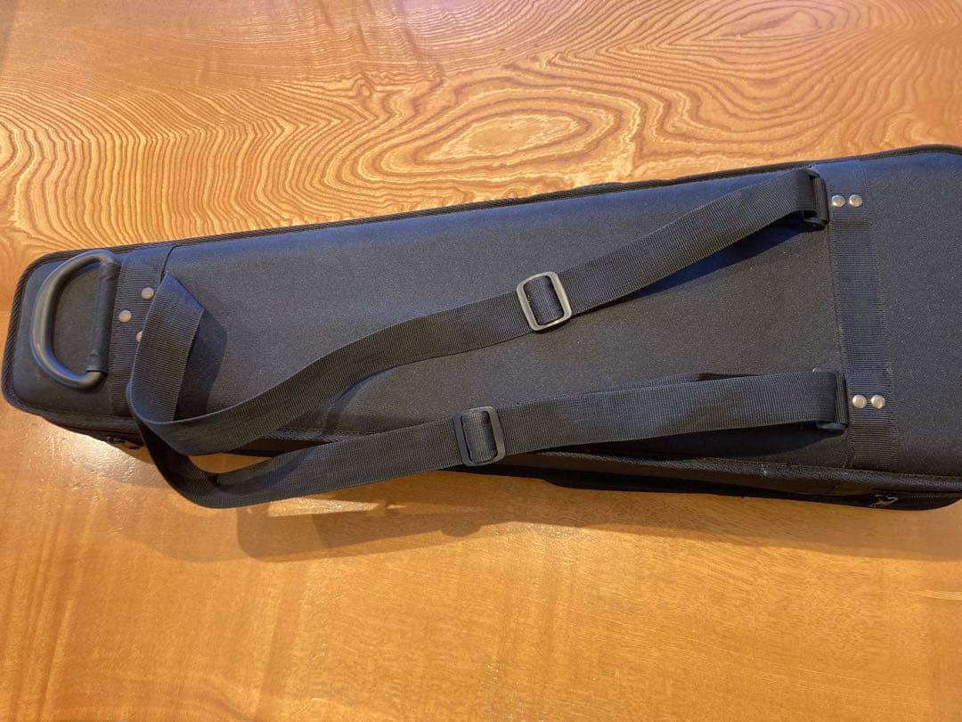 【専用】恵那　ENA　分数バイオリン　3/4　2016年　本体　弓　ケース