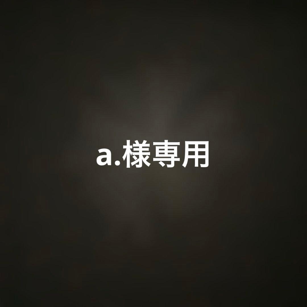 バッグ a.