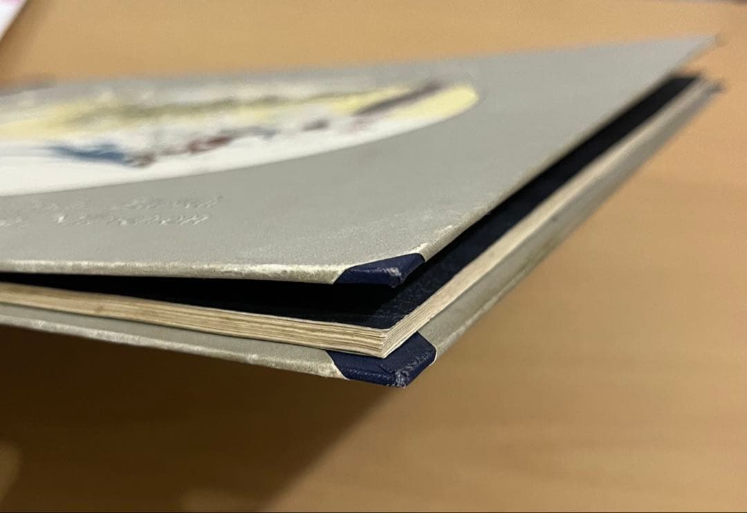 No.344 レア 超希少 アンティーク 古書 洋書 ドイツ 絵本 ビンテージ