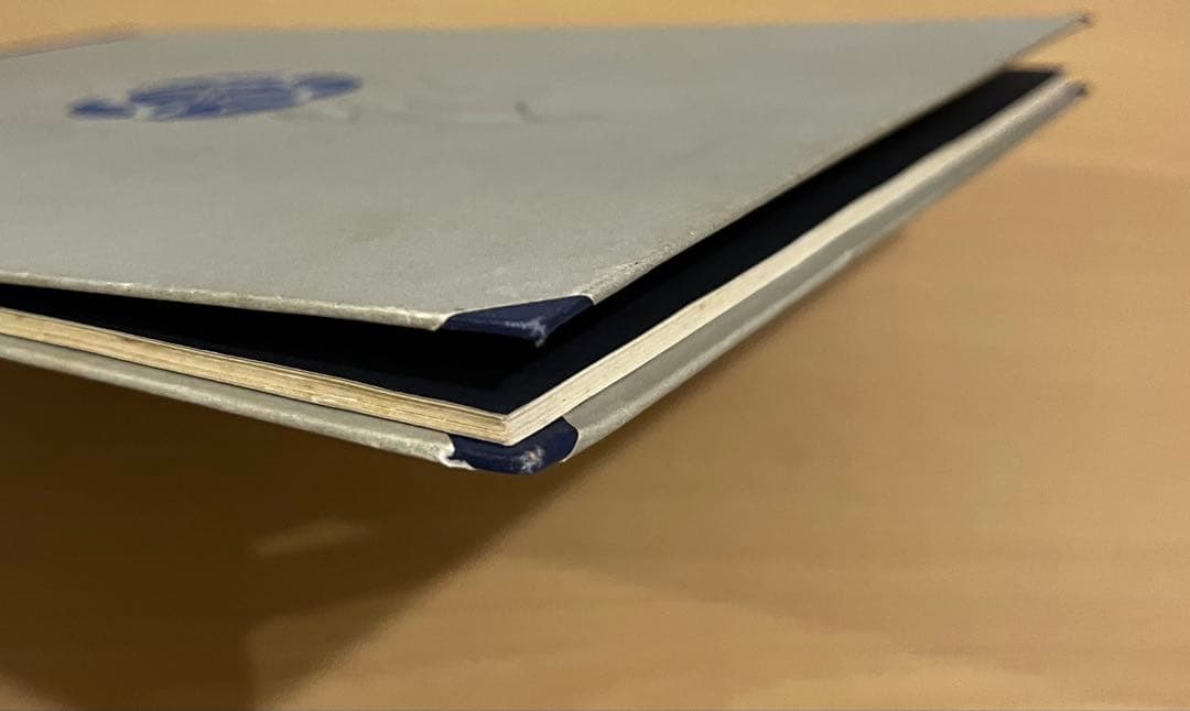 No.344 レア 超希少 アンティーク 古書 洋書 ドイツ 絵本 ビンテージ