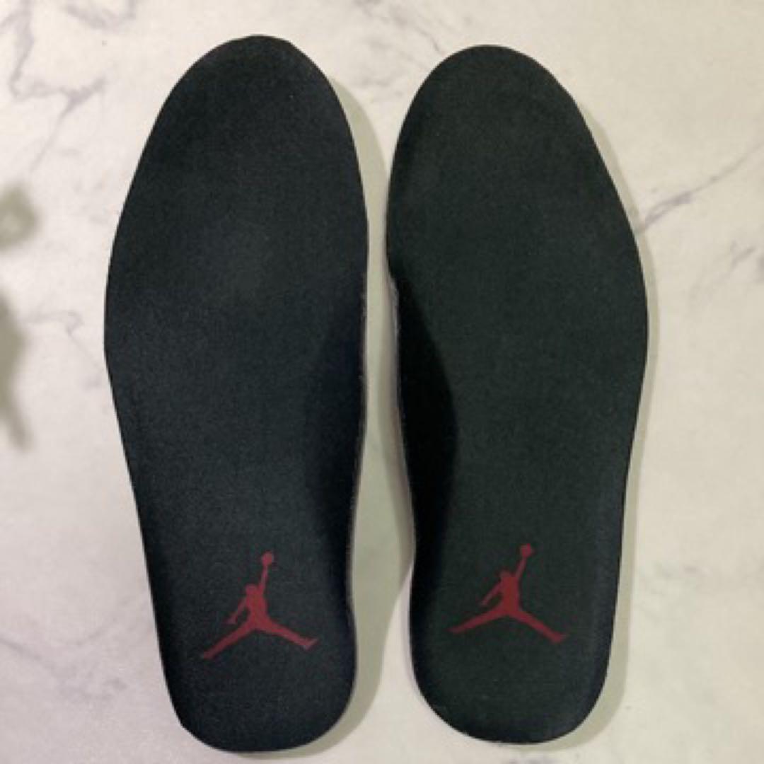 Nike エアジョーダン11 アニマル 25cm