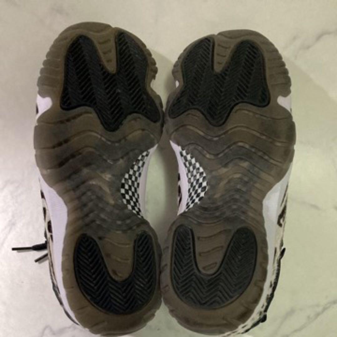 Nike エアジョーダン11 アニマル 25cm