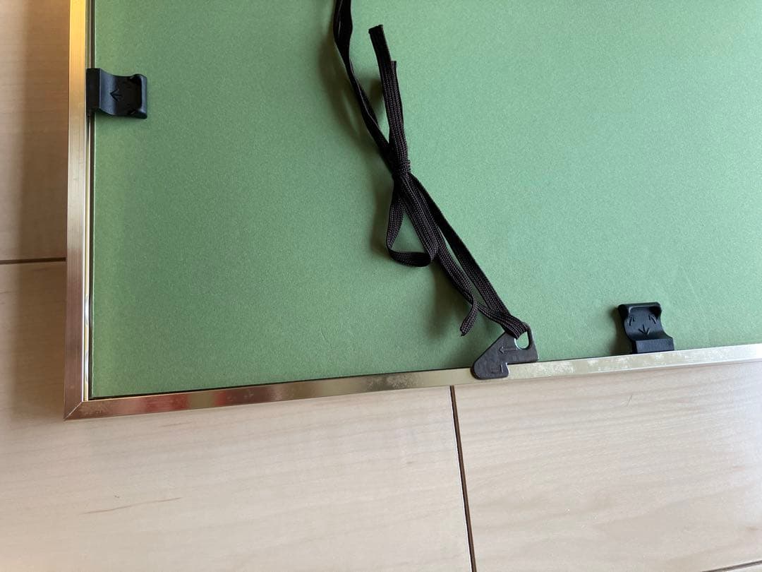 ポールアイズピリ　花のリトグラフ