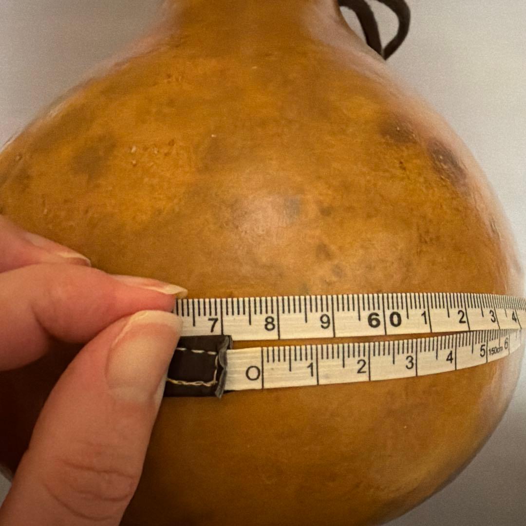 フラ イプ 楽器