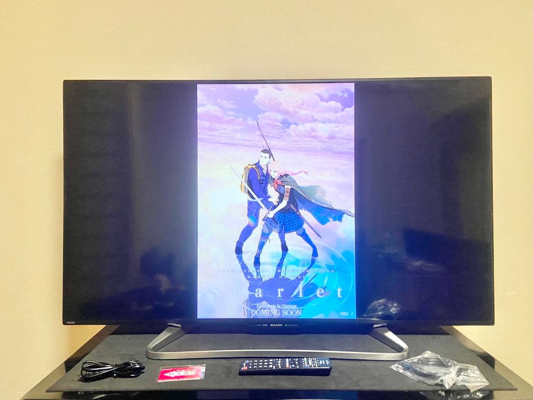 【今だけ優待価格】SHARP AQUOS 50V型フルHD・Wチューナー裏録