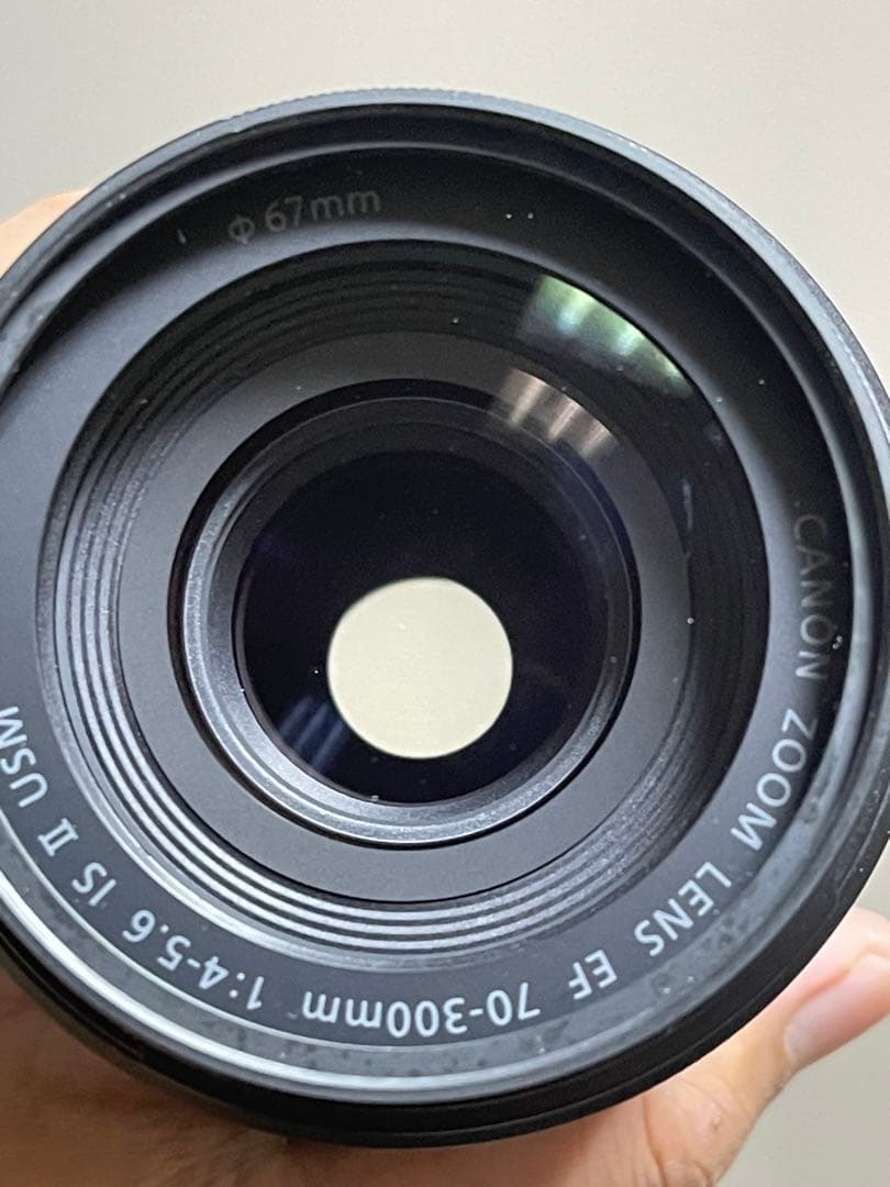 そらちゃん EF70-300mm F4-5.6 IS II USM