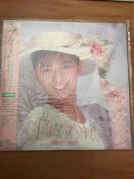 南野陽子レコード