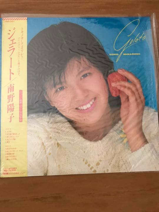 南野陽子レコード
