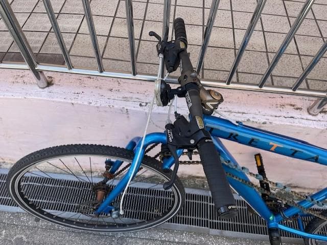 DIAMOND シフター・ブレーキレバー 青