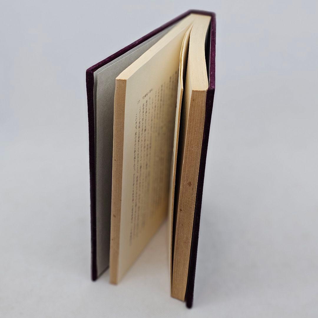 ホモ エロティクス 初版第一刷 澁澤龍彦 函つき