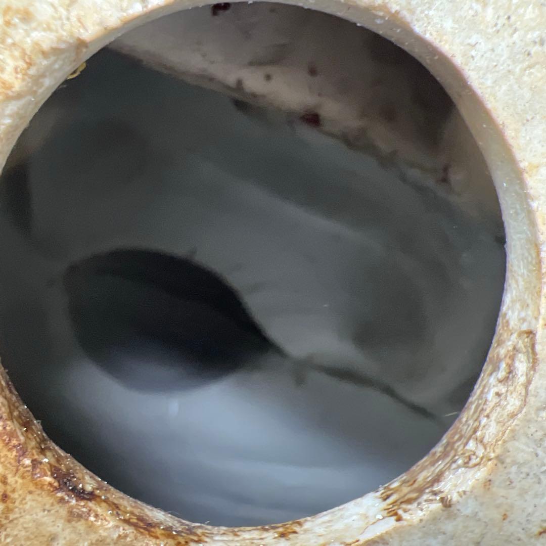 中国清時代　粉彩布袋　西江印　高さ約26㎝　東Y7-1224☆2Fトヒチサ