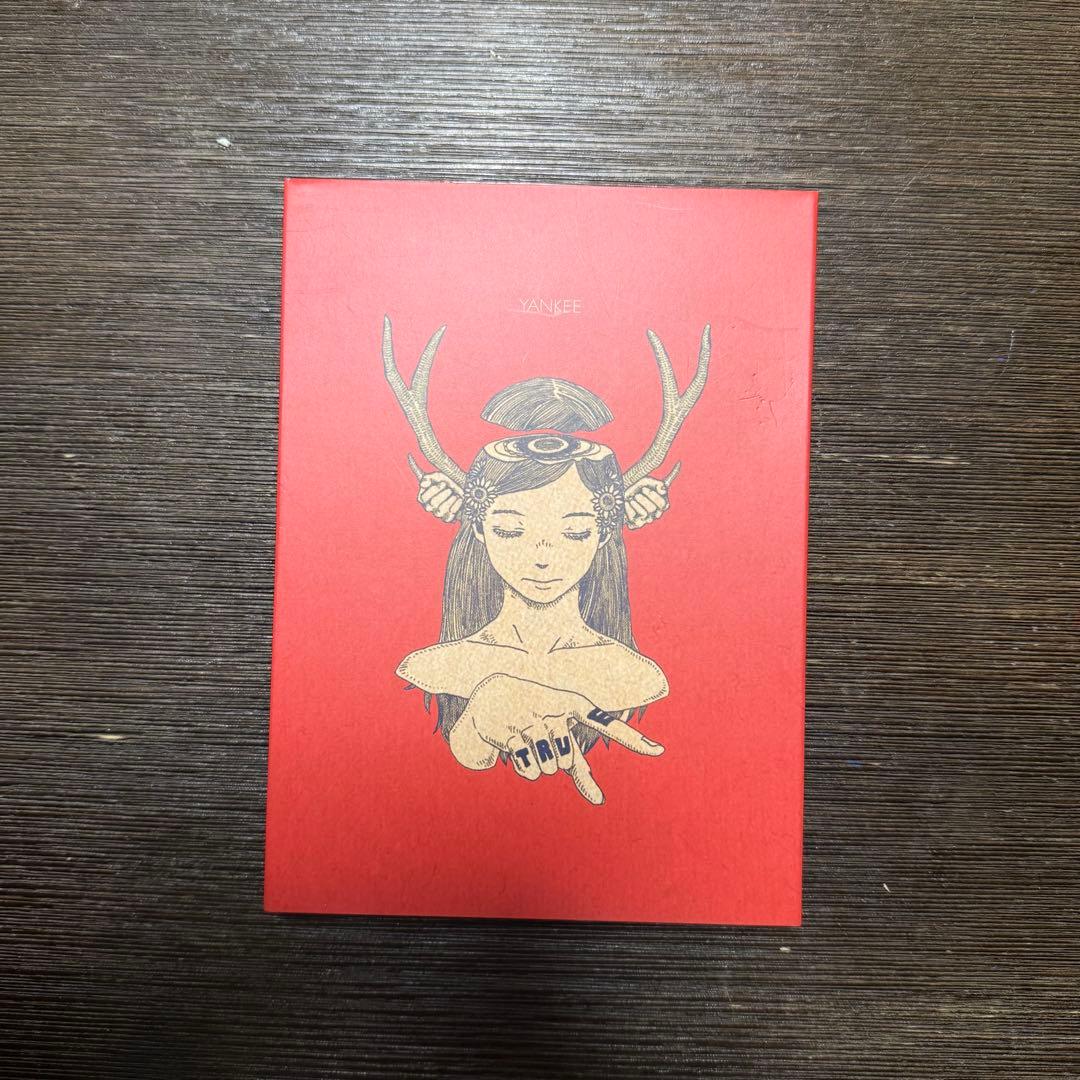 YANKEE 初回限定 画集盤　米津玄師