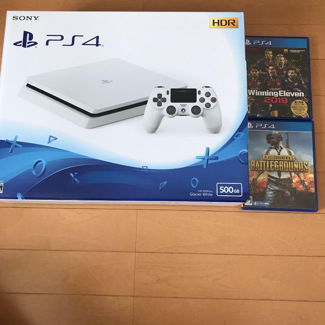 プレステ4.任天堂Switchセット