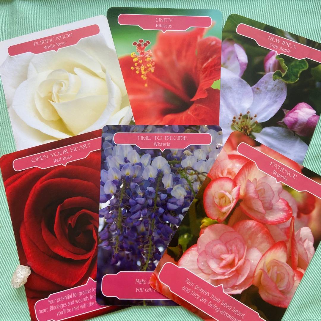 【オラクル】フラワーセラピーオラクルカード♪ドリーン・バーチュー 日本語版 花