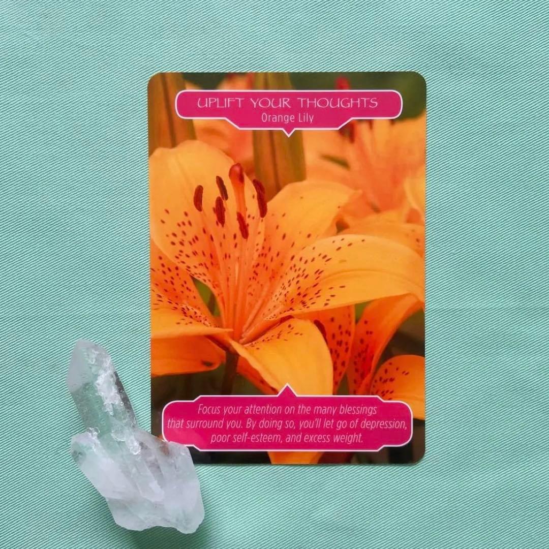 【オラクル】フラワーセラピーオラクルカード♪ドリーン・バーチュー 日本語版 花