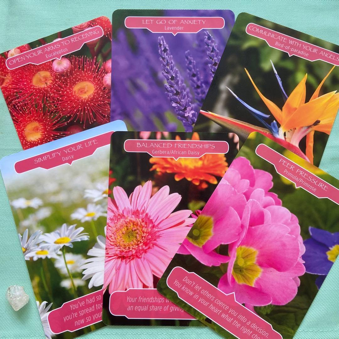 【オラクル】フラワーセラピーオラクルカード♪ドリーン・バーチュー 日本語版 花