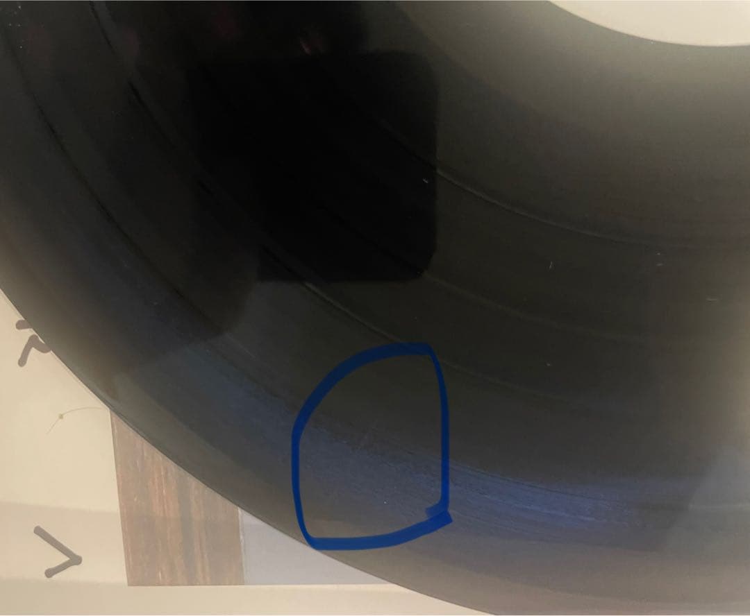 SAKEROCK SAYONARA レコード/中古