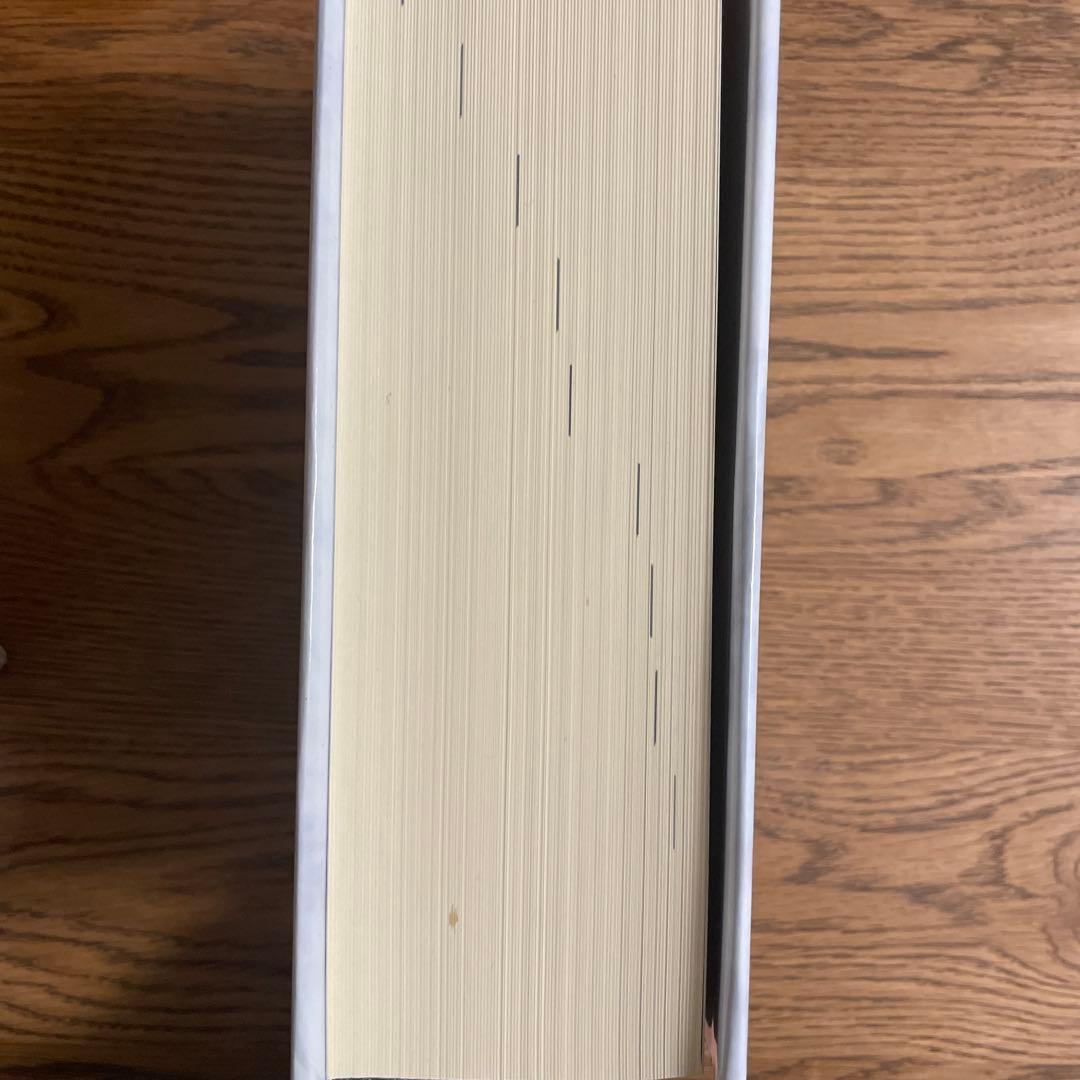 化学辞典 第2版 ハードカバー付 森北出版 技術士 参考書