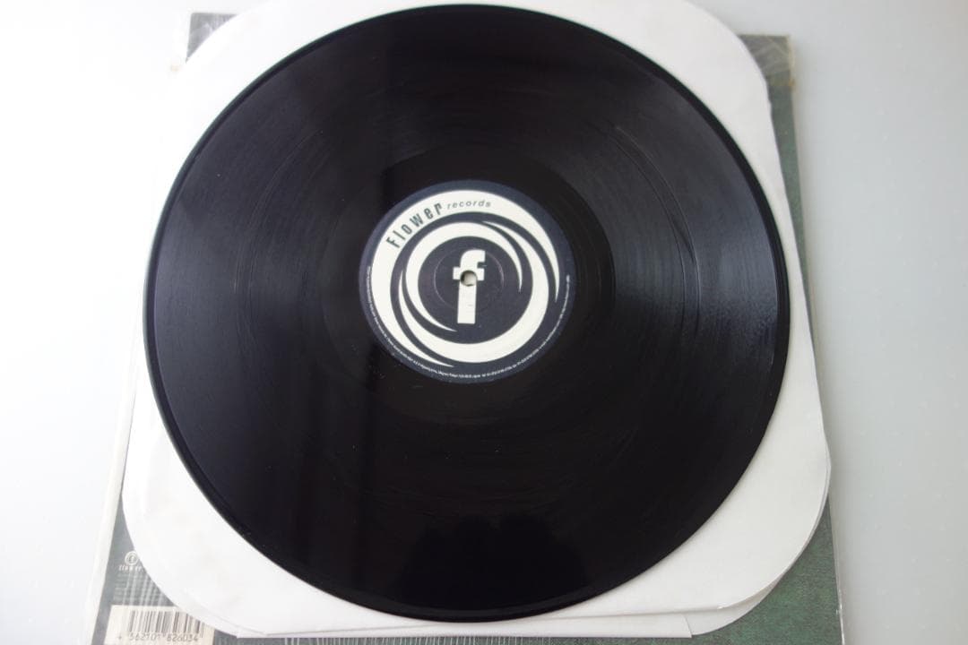 邦楽 Reggae Disco Rockers /oasis