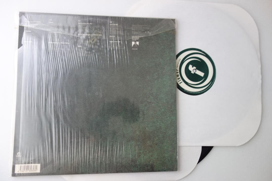 邦楽 Reggae Disco Rockers /oasis