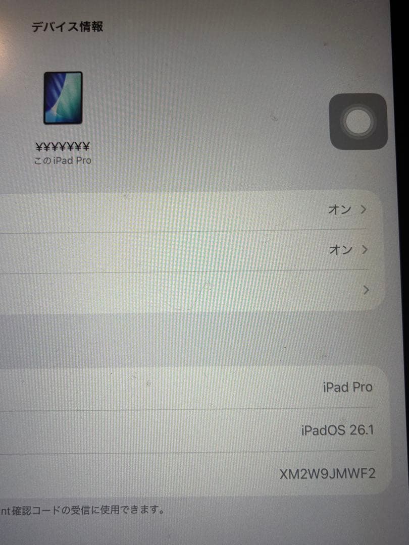 iPad pro 11インチ 第三世代 256GB