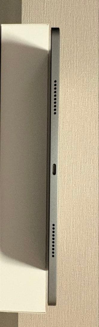 iPad Pro 12.9インチ 第6世代 （その他付属物複数付き、値下げok）