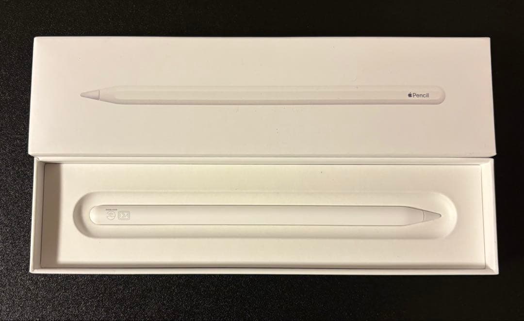 iPad Pro 12.9インチ 第6世代 （その他付属物複数付き、値下げok）