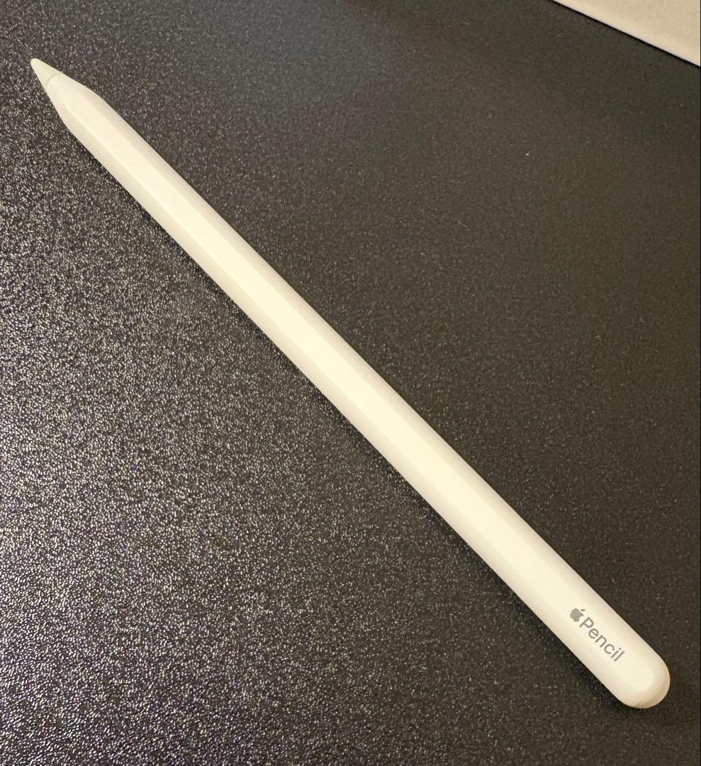 iPad Pro 12.9インチ 第6世代 （その他付属物複数付き、値下げok）