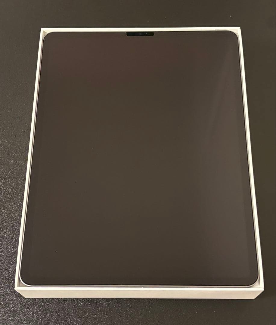 iPad Pro 12.9インチ 第6世代 （その他付属物複数付き、値下げok）