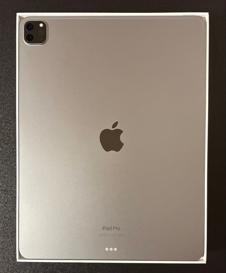 iPad Pro 12.9インチ 第6世代 （その他付属物複数付き、値下げok）