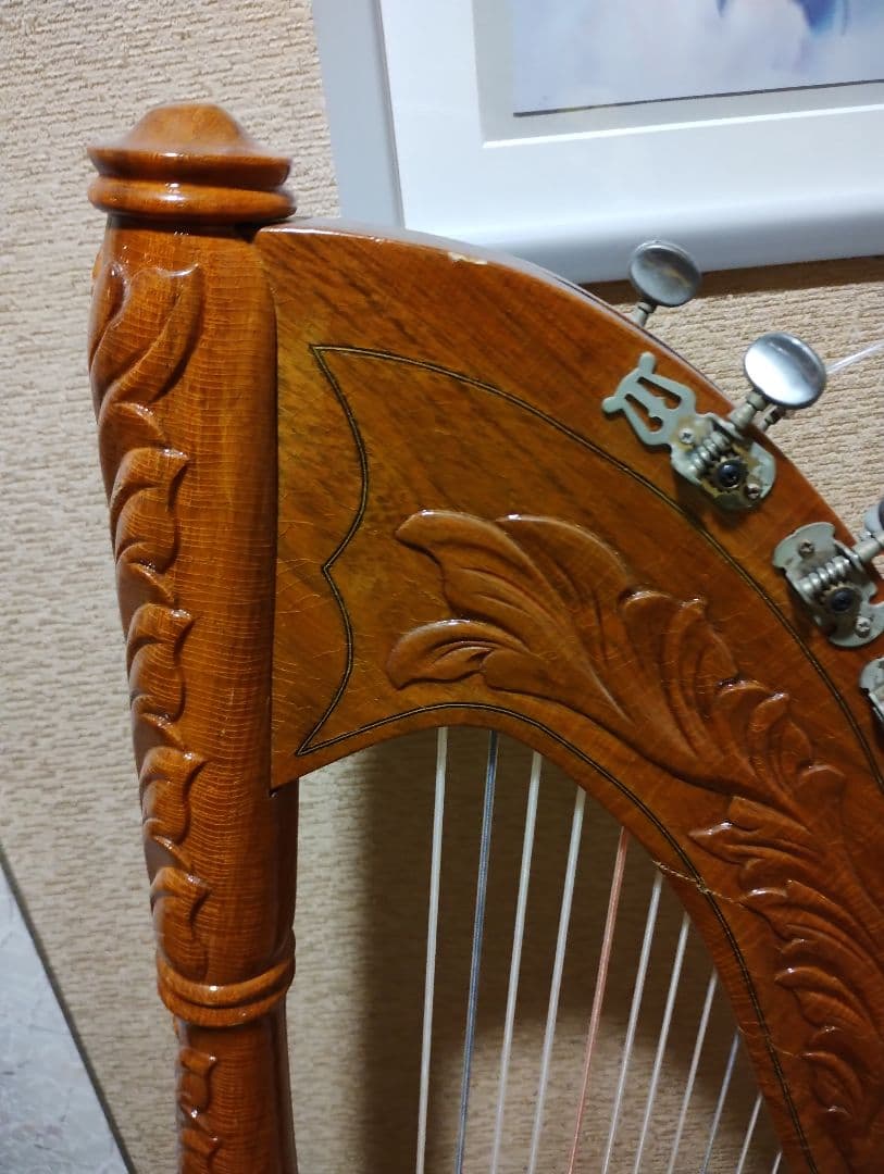 ハリーさま専用 アルパ ハープ 37弦 本体 ケース 弦